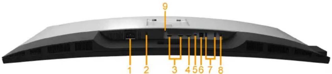 DELL Professional P3418HW - P3418HW: - 1
