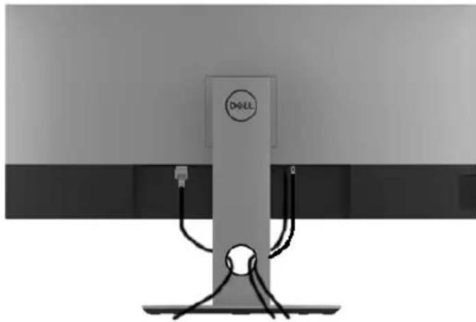 DELL Professional P3418HW - Ihre Kabel organisieren - 1