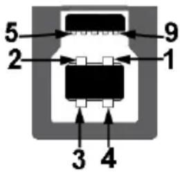 DELL Professional P3418HW - USB-Upstream-Anschluss - 1