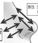 PANASONIC EH-SP55 - 動かしかた - 1