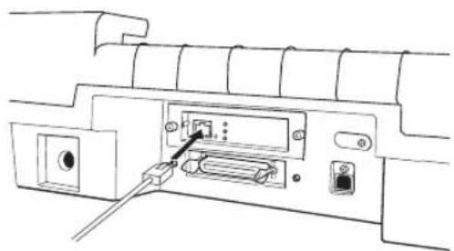 EPSON VP-4300 - ネットワーク接続 - 2