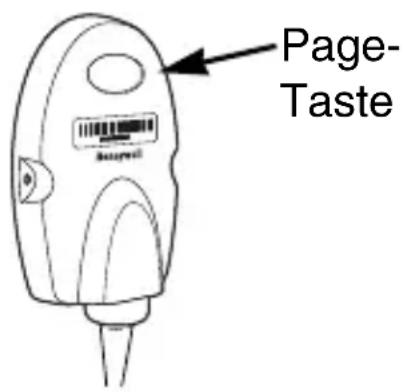 Page- Taste