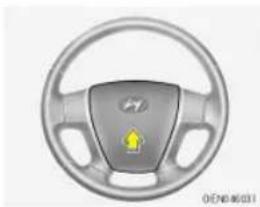 HYUNDAI Veracruz (2006) - - 승히차 편의 기능 - 1