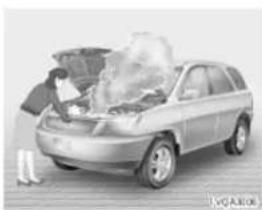 HYUNDAI Veracruz (2006) - E12031GALIN - 2