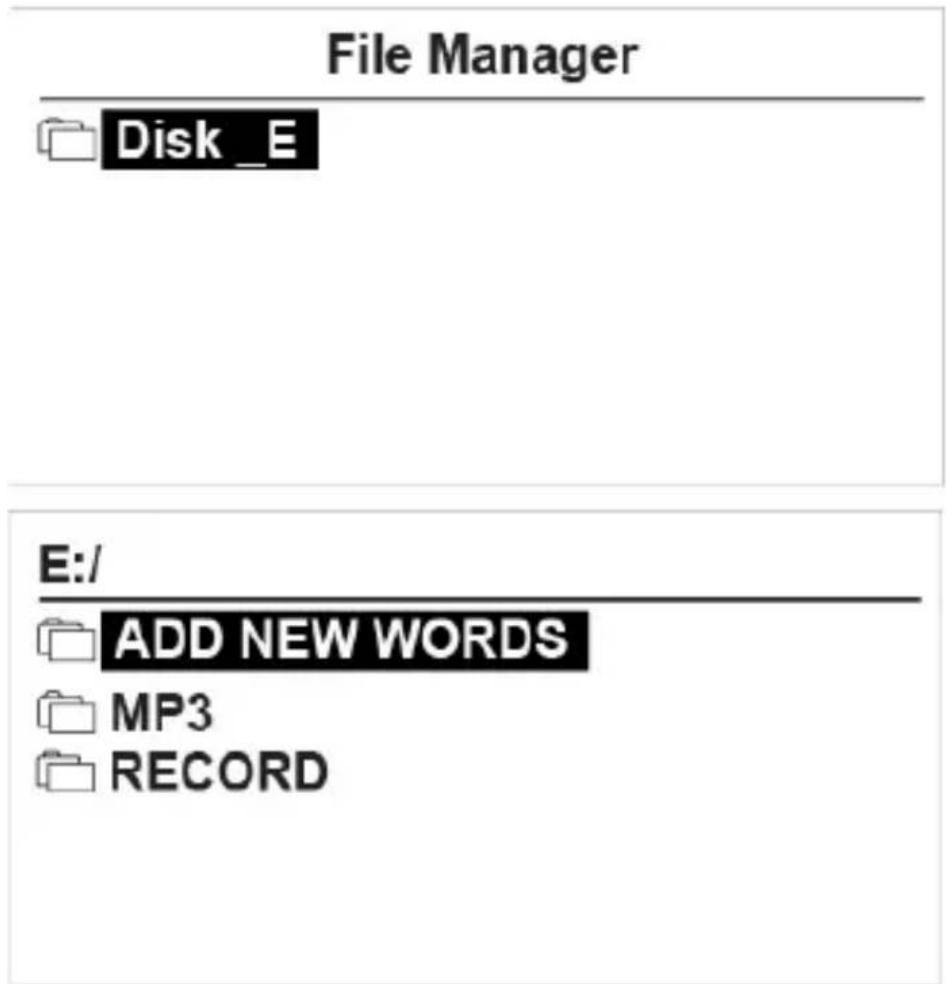Trano T9 - Reading “.txt files” in your Translator - 1