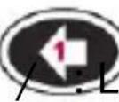 Trano M8 - Resetting the Translator - 10