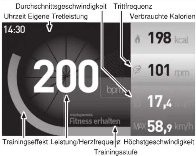 Victoria TRANZ-X - BOSCH Nyon - 1