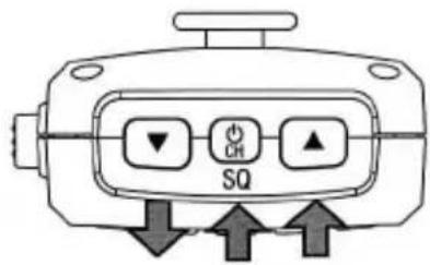 Polmar Venus - Volume control - 1