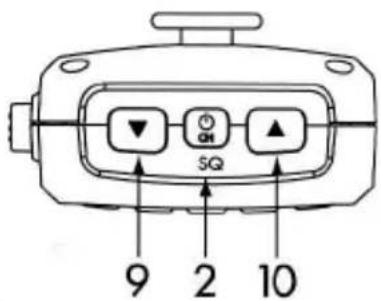 Polmar Venus - Controls e connectors - 2