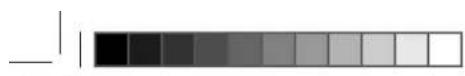 Winora Sportive Line SX2 - DP09 Bedienelement - 4