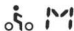 Winora Sportive Line S3 - Anzeige Fahrmodus - 3