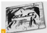 Winora Grenada - Carbon - Wichtige Hinweise - 13