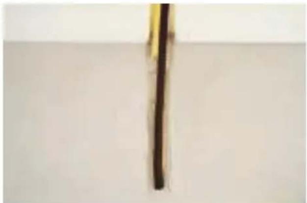 Magnum Cable - Meetgegevens - 2