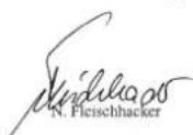 JUSTUS Fohr I - Hinweis bei Schornsteinbrand - 1