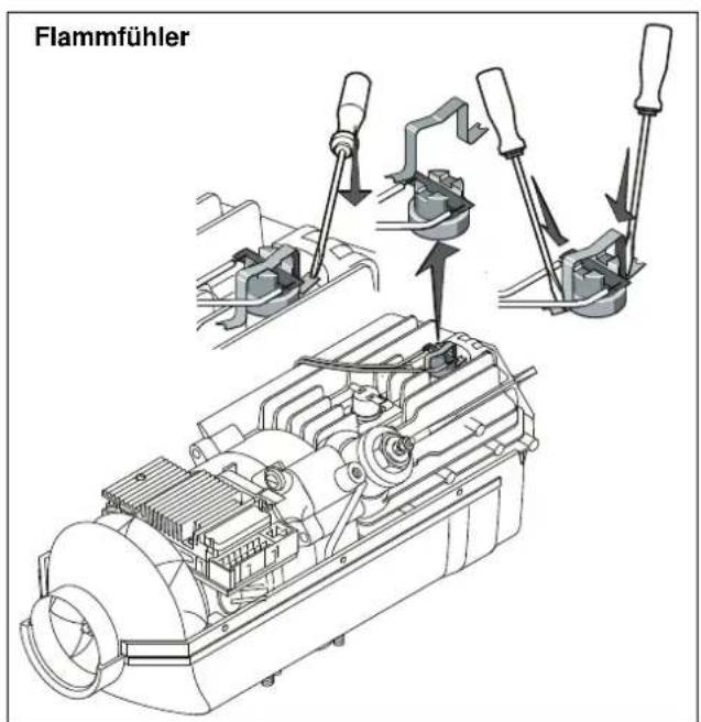 Flammfühler