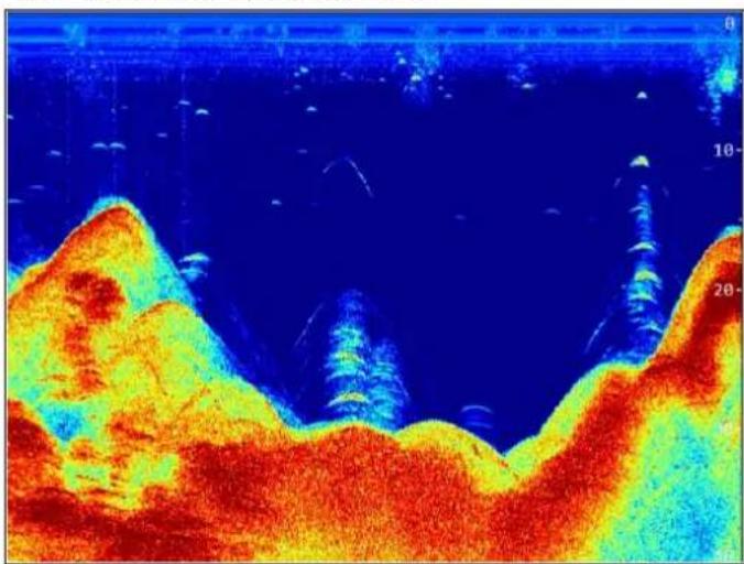RAYMARINE CPT-70 - 2.2CHIRP-Sonar-Überblick - 2