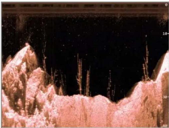 RAYMARINE CPT-70 - 2.2CHIRP-Sonar-Überblick - 4