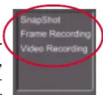 Snapshot, Frame Recording, Video Recording.