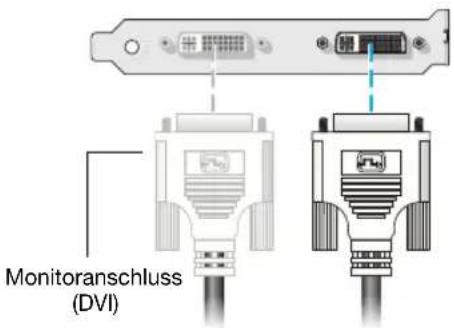 MATROX M9148 LP PCIe x16 - Anschließen des Sekundärmonitors - 1