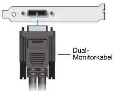 MATROX M9148 LP PCIe x16 - Schließen Sie die Dual-Monitorkabel - 1