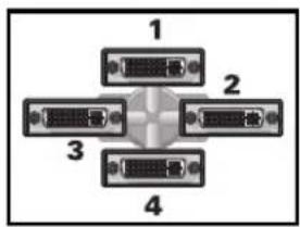 MATROX M9148 LP PCIe x16 - Monitore anschließen - 3