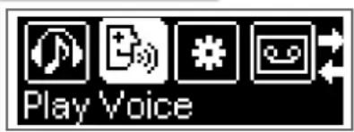 Play Voice