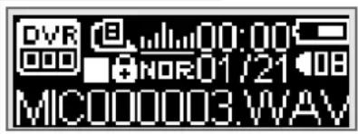 DVR 00:00 NOR01/21 08 MIC000003.WAV