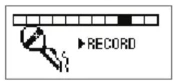 RECORD