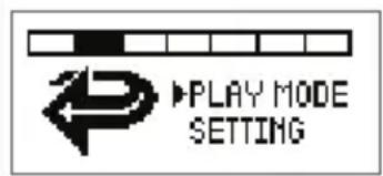 PLAY MODE SETTING