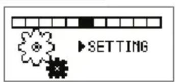 SETTING