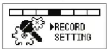 RECORD SETTING