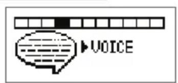 VOICE