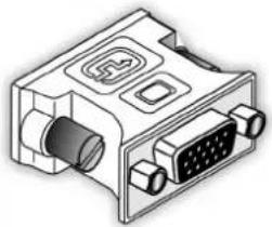 AMD ATI Radeon HD5450 - Anzeigeadapter (optionales Zubehör) - 1