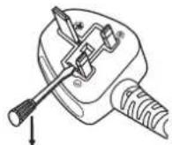 PANASONIC PT-MZ670LEJ - IMPORTANT: THE MOLDED PLUG - 1