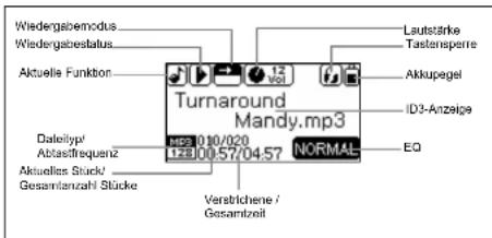 JGC G-Sensor-Sport - LCD-Anzeige - 1