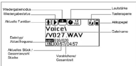 JGC G-Sensor-Sport - LCD-Anzeige - 1