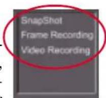 Snapshot, Frame Recording, Video Recording