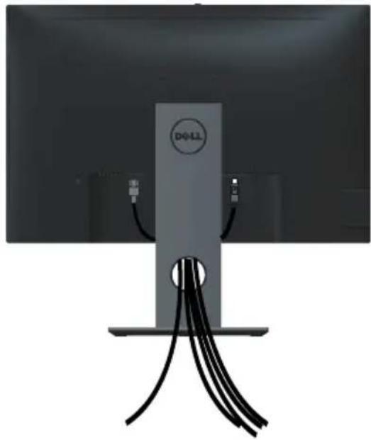 DELL Professional P2418HZ - Das USB 3.0-Kabel anschließen - 2