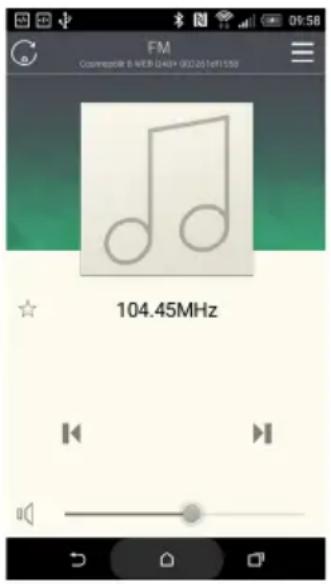 FM Cosmepool & WEB (4x8+ 902261e1159) 104.45MHz