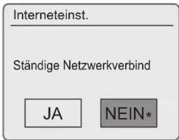 Interneteinst. Ständige Netzwerkverbind JA NEIN*