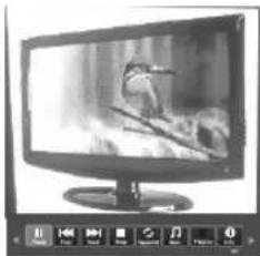 FOX electronics 49DLE468 - Exit - 1