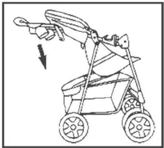 Pet Gear Happy Trails - APPLYING THE BRAKES - 5