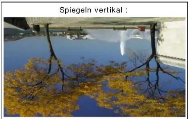 PRODAD Vitascene - Spiegeln - 3