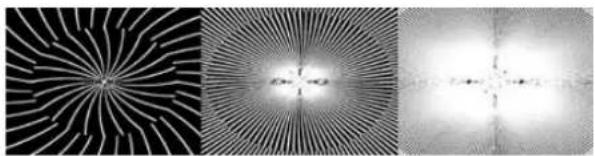 PRODAD Vitascene - Radial A - 1