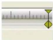PRODAD Vitascene - Anwendung stand-alone: - 20