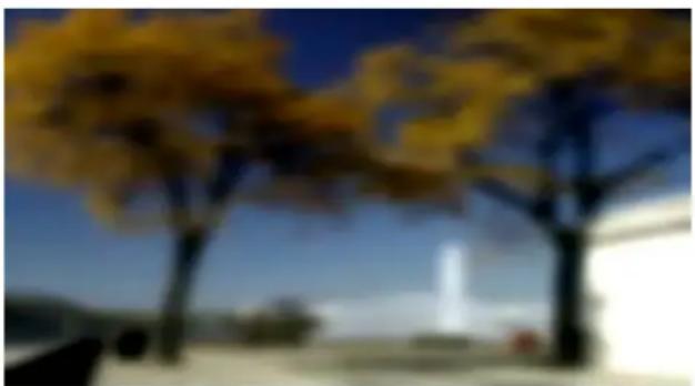 PRODAD Vitascene - Disc Blur - 9
