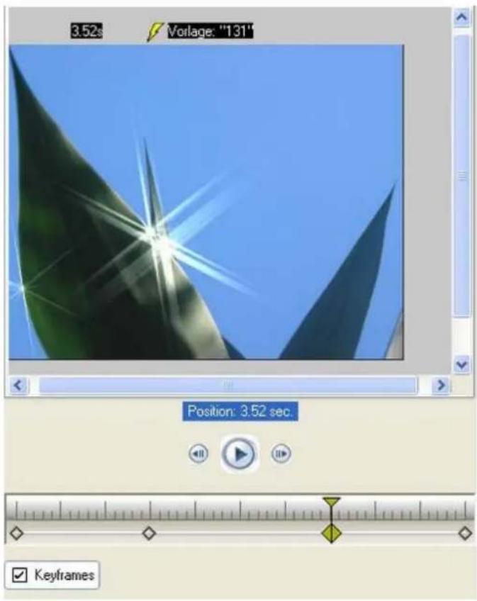 PRODAD Vitascene - Sparkle-Filter auf Bild anwenden (u.a. mit Nutzung von Keyframes) - 14
