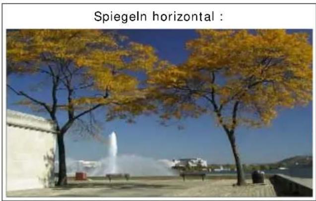 PRODAD Vitascene - Spiegeln - 2