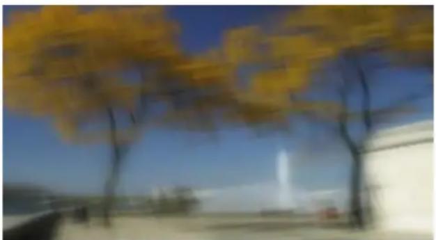 PRODAD Vitascene - Disc Blur - 6