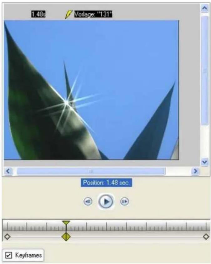 PRODAD Vitascene - Sparkle-Filter auf Bild anwenden (u.a. mit Nutzung von Keyframes) - 12